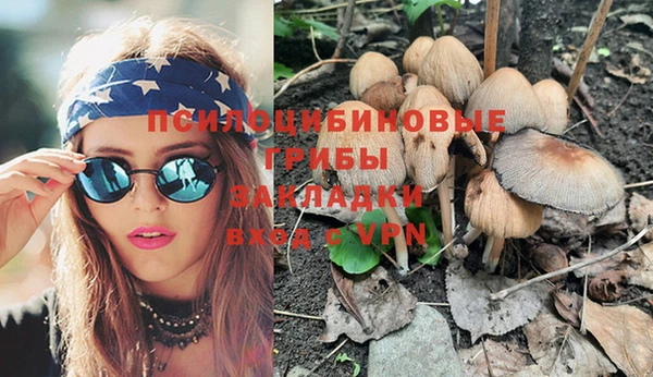 твердый Алексеевка